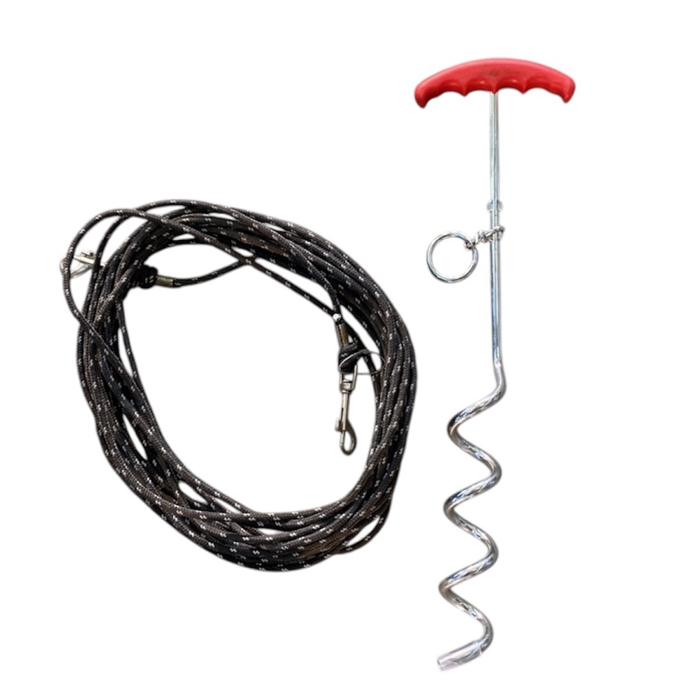 Corkscrew Leash Anchor & Lead